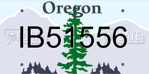 IB51556 Oregon License Plate