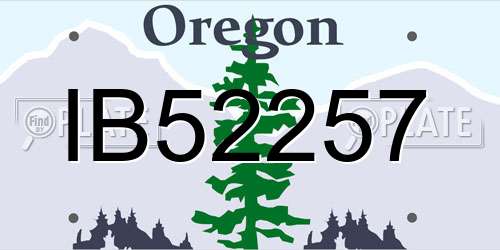 IB52257 Oregon License Plate