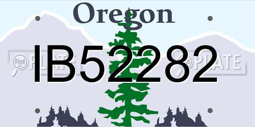 IB52282 Oregon License Plate