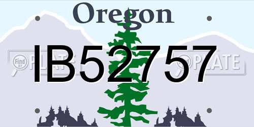 IB52757 Oregon License Plate