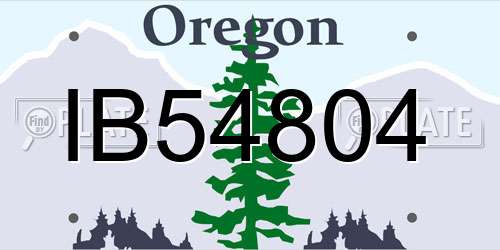 IB54804 Oregon License Plate