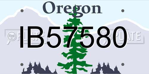 IB57580 Oregon License Plate