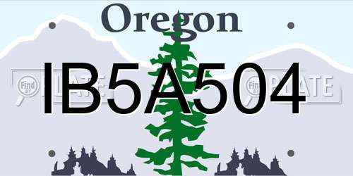 IB5A504 Oregon License Plate
