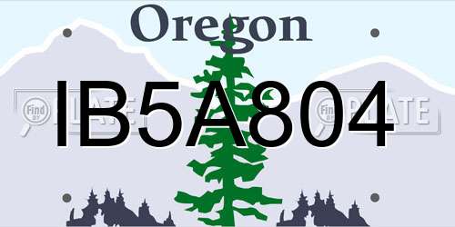 IB5A804 Oregon License Plate