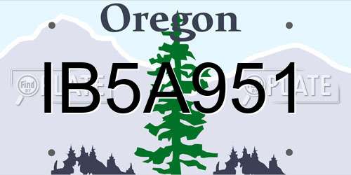 IB5A951 Oregon License Plate