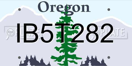 IB5T282 Oregon License Plate