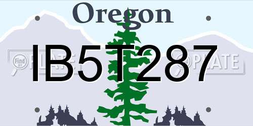 IB5T287 Oregon License Plate