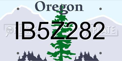 IB5Z282 Oregon License Plate