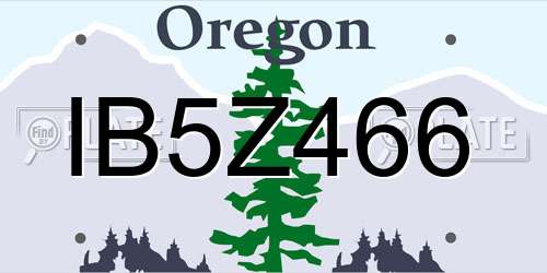 IB5Z466 Oregon License Plate