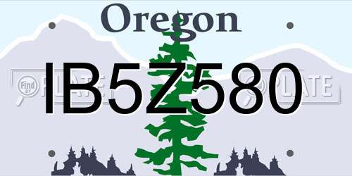 IB5Z580 Oregon License Plate