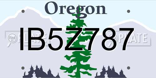 IB5Z787 Oregon License Plate