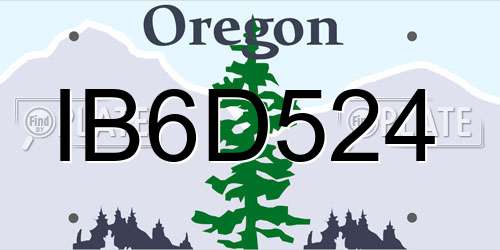 IB6D524 Oregon License Plate