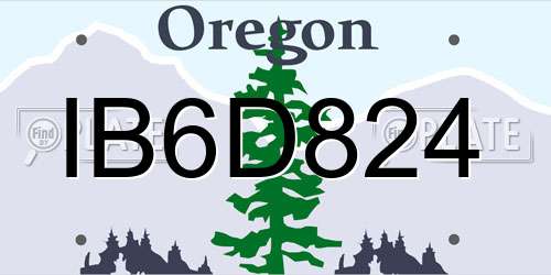 IB6D824 Oregon License Plate