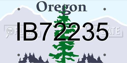 IB72235 Oregon License Plate