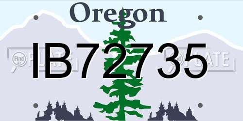 IB72735 Oregon License Plate