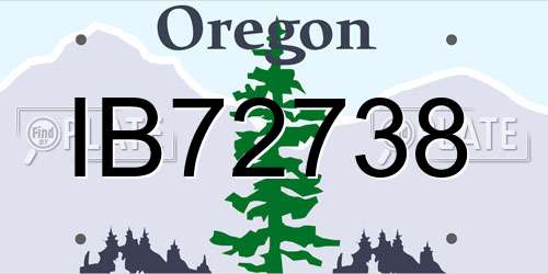 IB72738 Oregon License Plate