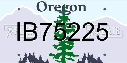 IB75225 Oregon License Plate