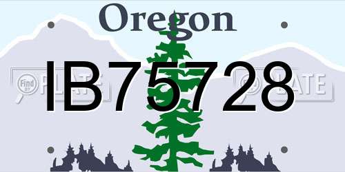 IB75728 Oregon License Plate