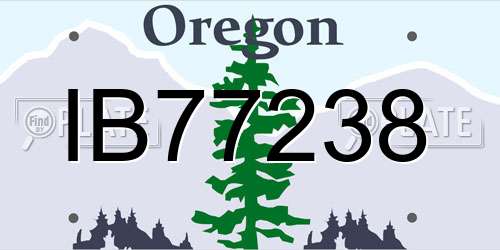 IB77238 Oregon License Plate