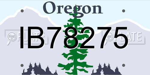IB78275 Oregon License Plate