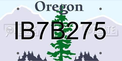 IB7B275 Oregon License Plate