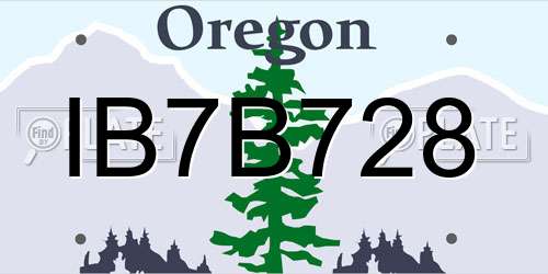 IB7B728 Oregon License Plate