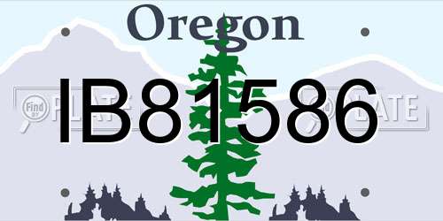 IB81586 Oregon License Plate