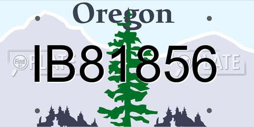 IB81856 Oregon License Plate