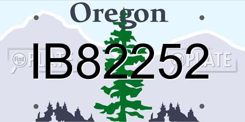 IB82252 Oregon License Plate
