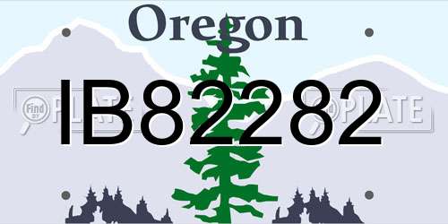 IB82282 Oregon License Plate
