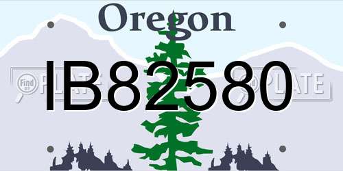 IB82580 Oregon License Plate