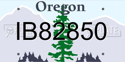 IB82850 Oregon License Plate