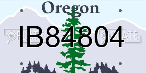 IB84804 Oregon License Plate