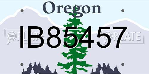 IB85457 Oregon License Plate