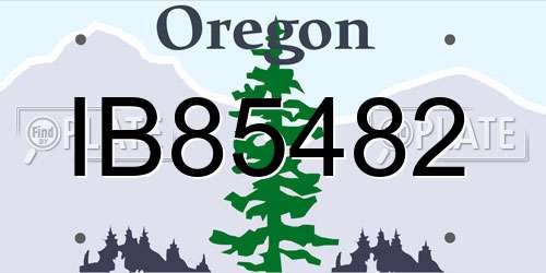 IB85482 Oregon License Plate
