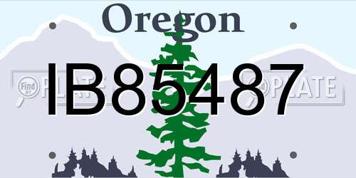 IB85487 Oregon License Plate