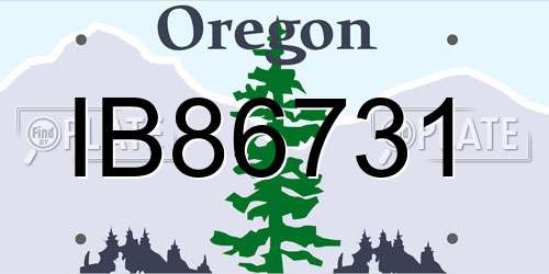 IB86731 Oregon License Plate