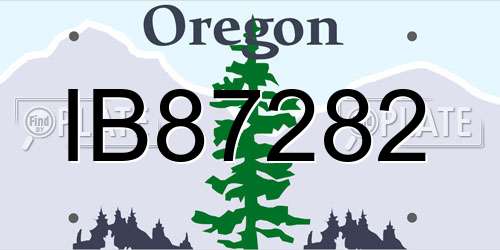 IB87282 Oregon License Plate