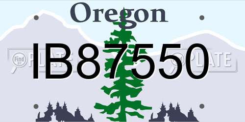 IB87550 Oregon License Plate