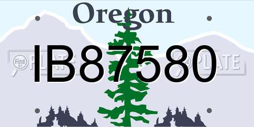 IB87580 Oregon License Plate