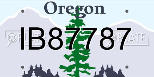 IB87787 Oregon License Plate