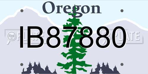 IB87880 Oregon License Plate
