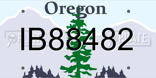 IB88482 Oregon License Plate
