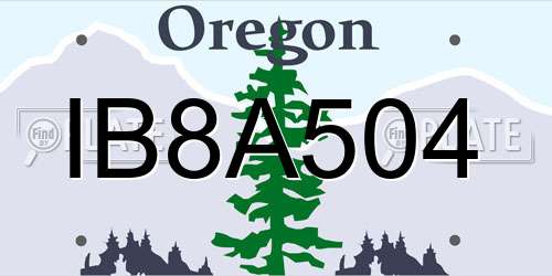 IB8A504 Oregon License Plate