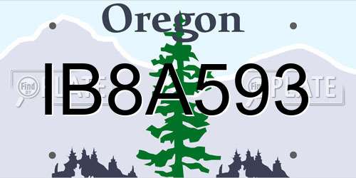IB8A593 Oregon License Plate