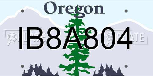 IB8A804 Oregon License Plate