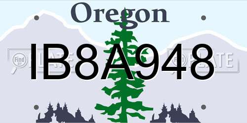 IB8A948 Oregon License Plate