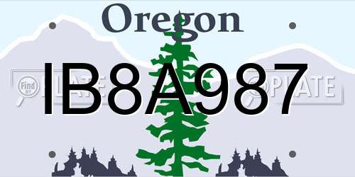 IB8A987 Oregon License Plate