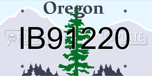 IB91220 Oregon License Plate