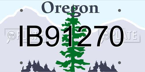 IB91270 Oregon License Plate